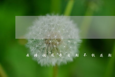 疫情信用卡逾期不能延期 疫情信用卡逾期不能延期