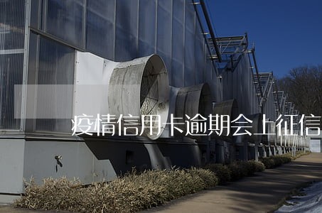 疫情信用卡逾期会上征信嘛 疫情信用卡逾期会上征信嘛