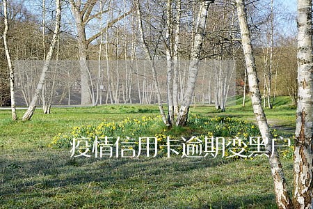 疫情信用卡逾期变黑户 疫情信用卡逾期变黑户