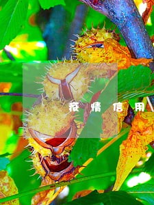 疫情信用卡逾期多少人 疫情信用卡逾期多少人