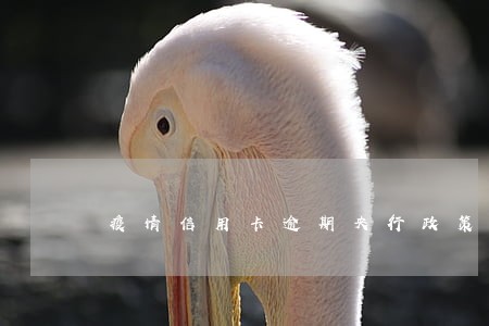 疫情信用卡逾期央行政策 疫情信用卡逾期央行政策