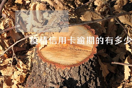 疫情信用卡逾期的有多少人 疫情信用卡逾期的有多少人