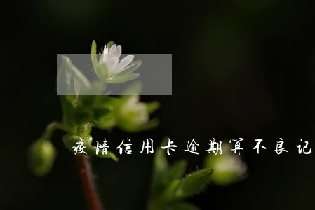 疫情信用卡逾期算不良记录么 疫情信用卡逾期算不良记录么