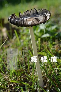 疫情信用卡逾期统计数据 疫情信用卡逾期统计数据