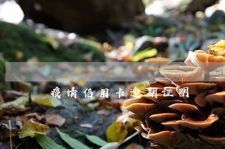 疫情信用卡逾期证明