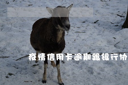 疫情信用卡逾期跟银行协商