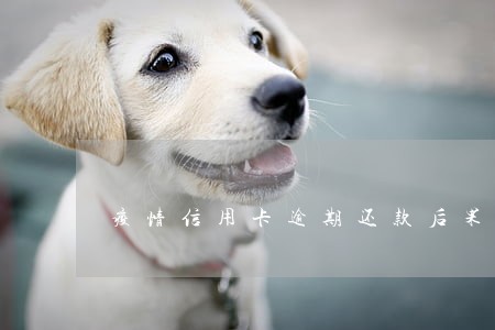 疫情信用卡逾期还款后果 疫情信用卡逾期还款后果