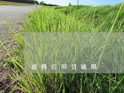疫情信用贷逾期 疫情信用贷逾期