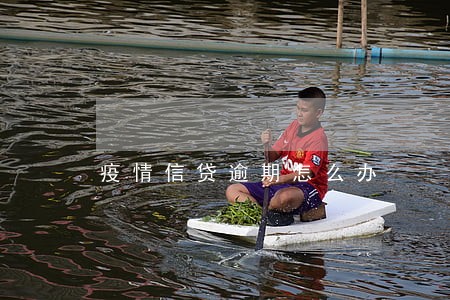 疫情信贷逾期怎么办 疫情信贷逾期怎么办