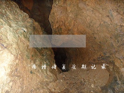 疫情修复逾期记录 疫情修复逾期记录