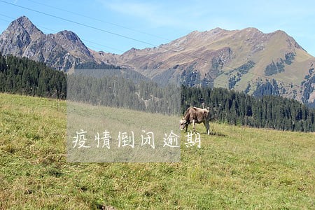 疫情倒闭逾期 疫情倒闭逾期