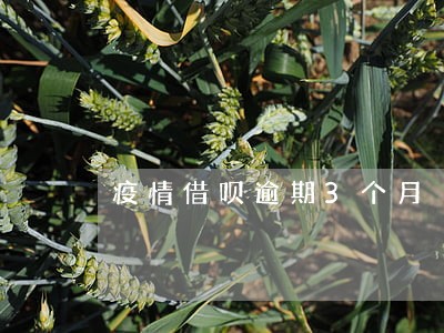疫情借呗逾期3个月 疫情借呗逾期3个月