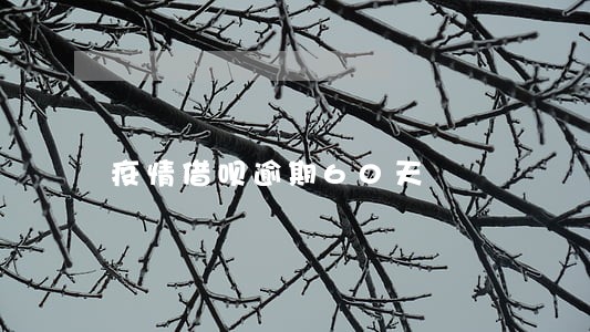 疫情借呗逾期60天 疫情借呗逾期60天