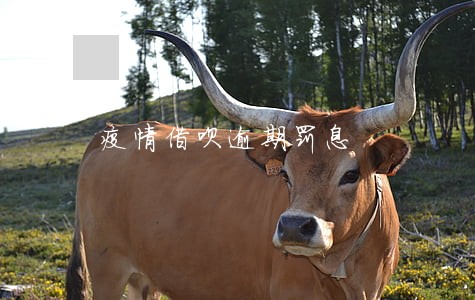 疫情借呗逾期罚息