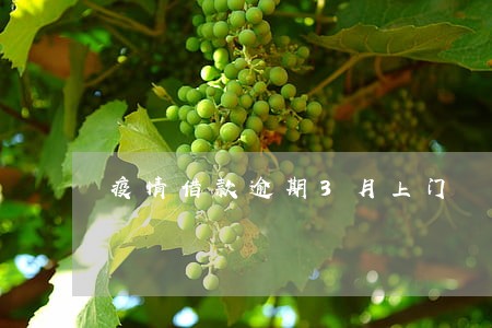疫情借款逾期3月上门 疫情借款逾期3月上门