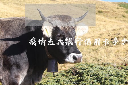 疫情光大银行信用卡多少人逾期