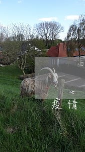 疫情其间逾期征信咋办呢 疫情其间逾期征信咋办呢
