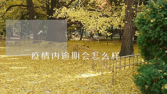 疫情内逾期会怎么样 疫情内逾期会怎么样