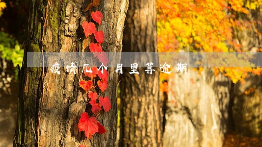 疫情几个月里算逾期 疫情几个月里算逾期