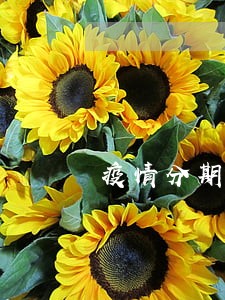 疫情分期乐逾期到底多严重 疫情分期乐逾期到底多严重
