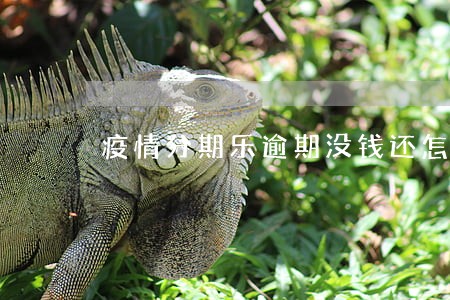 疫情分期乐逾期没钱还怎么办 疫情分期乐逾期没钱还怎么办