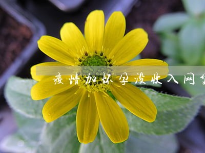 疫情加怀孕没收入网贷逾期了 疫情加怀孕没收入网贷逾期了