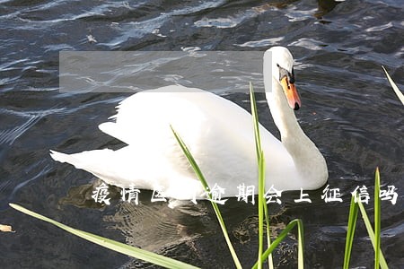 疫情区间逾期会上征信吗 疫情区间逾期会上征信吗