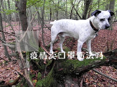 疫情卖口罩违法吗 疫情卖口罩违法吗