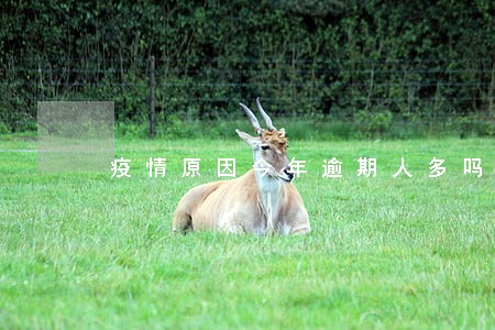 疫情原因今年逾期人多吗 疫情原因今年逾期人多吗