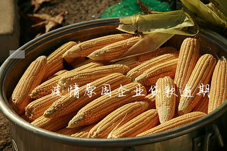 疫情原因企业贷款逾期 疫情原因企业贷款逾期