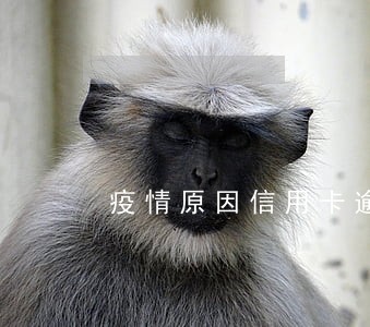 疫情原因信用卡逾期怎么处理 疫情原因信用卡逾期怎么处理