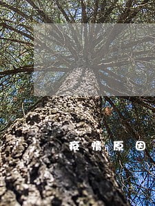 疫情原因利息逾期会上征信吗 疫情原因利息逾期会上征信吗