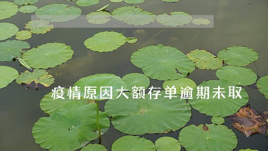 疫情原因大额存单逾期未取 疫情原因大额存单逾期未取