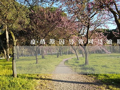 疫情原因导致网贷逾期 疫情原因导致网贷逾期