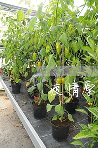 疫情原因导致逾期交货