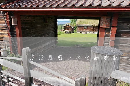 疫情原因小米金融逾期 疫情原因小米金融逾期