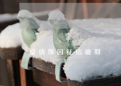 疫情原因征信逾期 疫情原因征信逾期