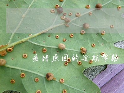 疫情原因的逾期帮助 疫情原因的逾期帮助
