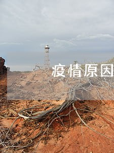 疫情原因美团生意贷逾期