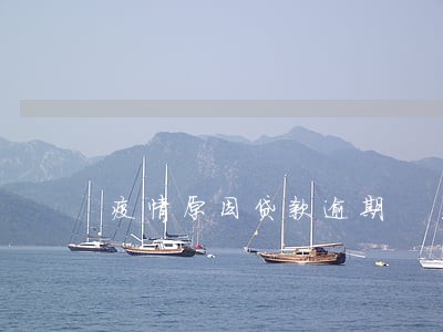 疫情原因贷款逾期 疫情原因贷款逾期