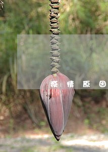 疫情原因车贷逾期了能协商吗 疫情原因车贷逾期了能协商吗