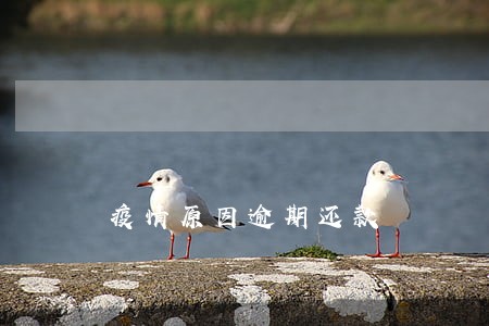 疫情原因逾期还款 疫情原因逾期还款