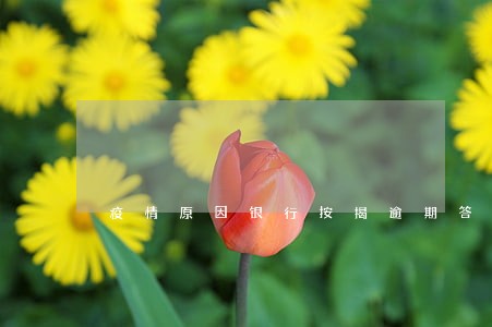 疫情原因银行按揭逾期答辩状 疫情原因银行按揭逾期答辩状