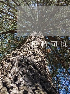 疫情可以申请撤销逾期记录吗 疫情可以申请撤销逾期记录吗