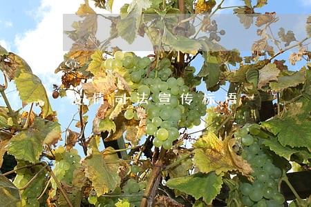 疫情司法宣传标语 疫情司法宣传标语