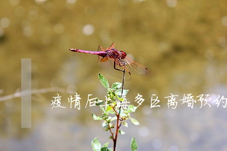 疫情后上海多区离婚预约爆满 疫情后上海多区离婚预约爆满