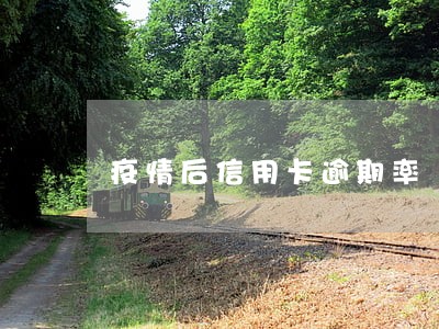 疫情后信用卡逾期率