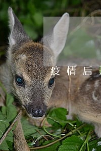 疫情后开发商逾期