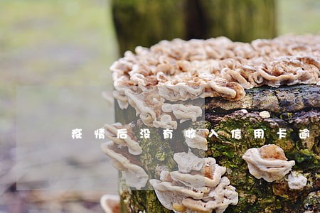 疫情后没有收入信用卡逾期怎么办