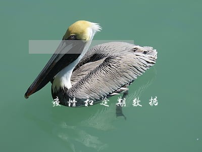 疫情和逾期数据 疫情和逾期数据
